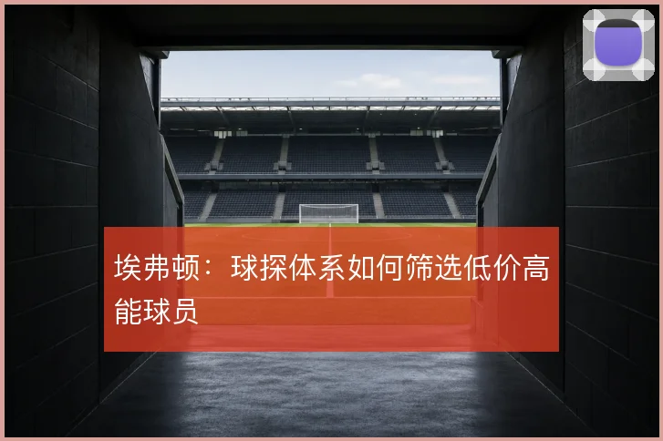 埃弗顿：球探体系如何筛选低价高能球员
