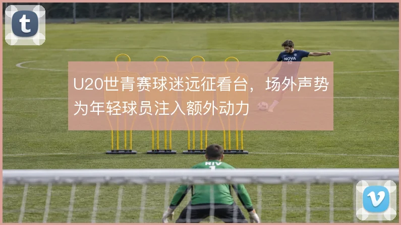U20世青赛球迷远征看台，场外声势为年轻球员注入额外动力