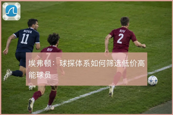 埃弗顿：球探体系如何筛选低价高能球员